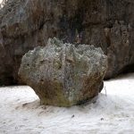 備瀬のワルミ（びせのわるみ）のちんぽ石は埋まってきている