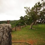 沖縄最古のシーサー富盛の石彫大獅子（ともりのいしぼりうふじし）の目線