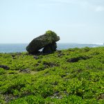 Cape Arasaki（けーぷ あらさき）糸満の海岩