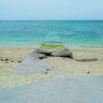宮城島 天然ビーチ ウクの浜
