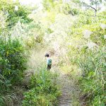 小浜の川神（こはまのかわかみ）草が生い茂っていた 沖縄