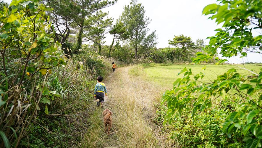 小浜の川神（こはまのかわかみ）畑に抜ける道 沖縄
