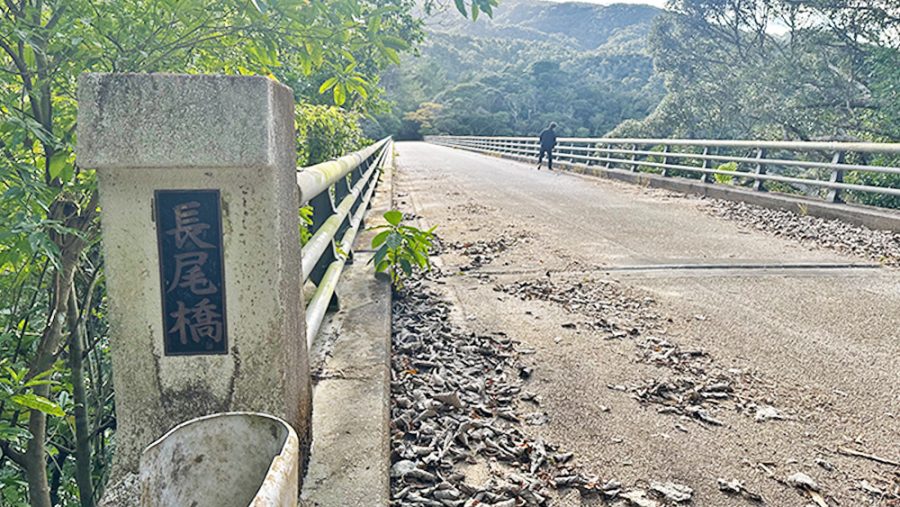 長尾橋（ながおばし）