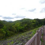 ダム 辺野喜ダム