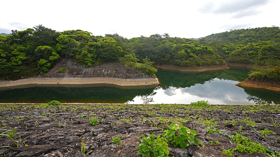 ダム 辺野喜ダム 伊集の湖（いじゅのこ）