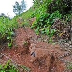 自然が作る岩の窓 楚洲（そす）道