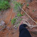 自然が作る岩の窓 楚洲（そす）までの道