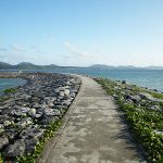 21世紀の森公園 名護市公園