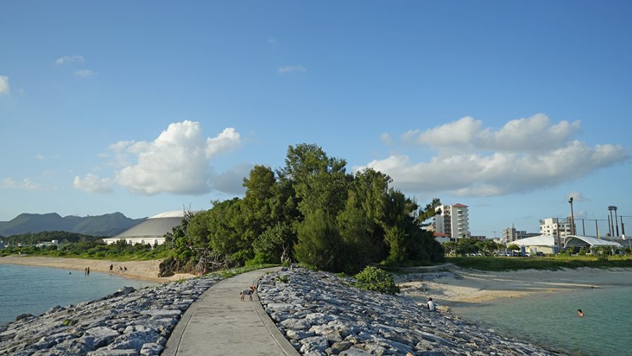 21世紀の森公園 名護市公園