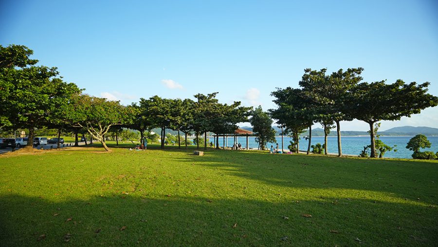 21世紀の森公園 名護市公園
