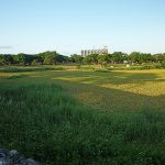 21世紀の森公園 名護市公園