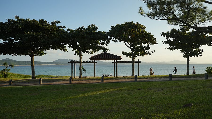21世紀の森公園 名護市公園