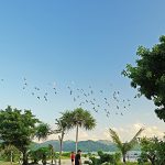 21世紀の森公園 名護市公園