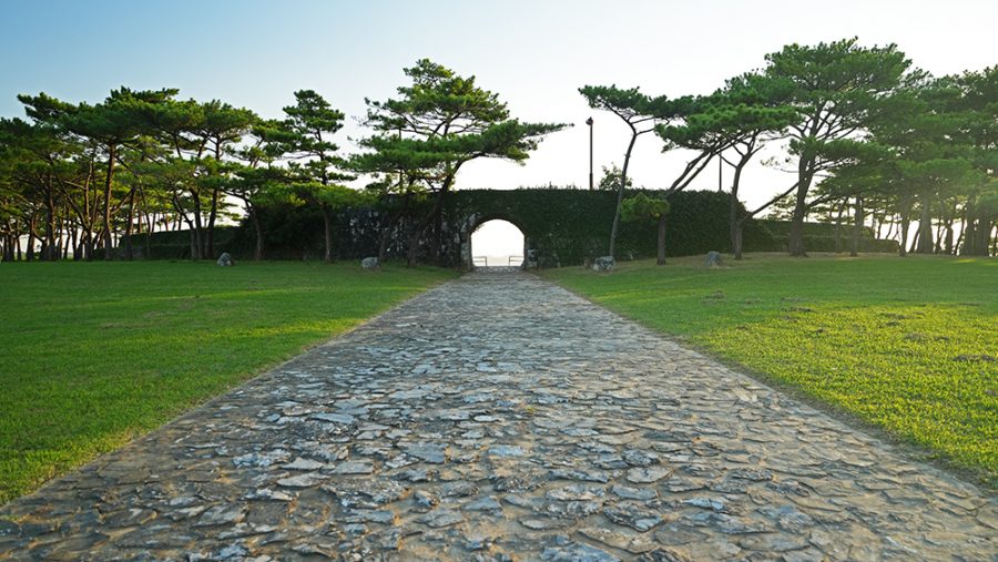 21世紀の森公園 名護市公園