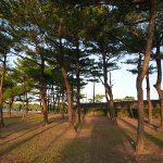 21世紀の森公園 名護市公園