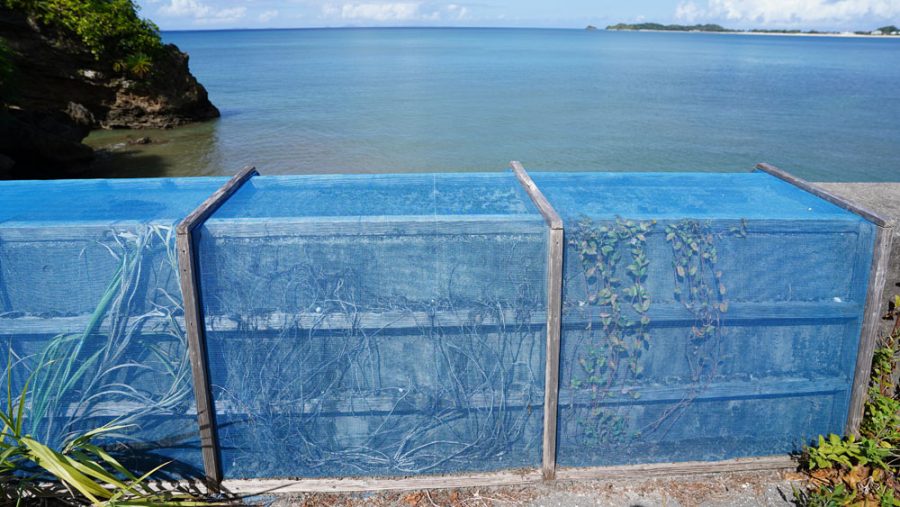 カニさんトンネル（かにさんとんねる）