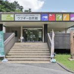 やんばる野生生物保護センターウフギー自然館 玄関前