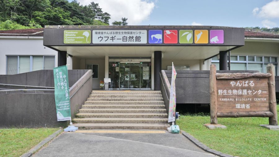 やんばる野生生物保護センターウフギー自然館 玄関前