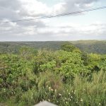 山の駅 たかえ特産品直売所（高江売店)やんばるの風景