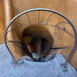 友寄馬場公園（ともよせばばこうえん）獅子舞の中