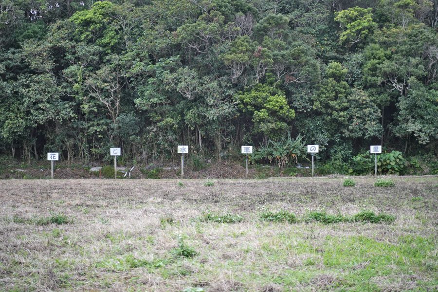 喜瀬武原の三連水車・足踏み水車 （きせんばるのさんれんすいしゃ・あしふみすいしゃ）