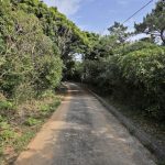 ザギントスの崖