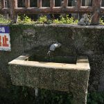 与座ガー・与座川公園（よざがー・よざがわ）