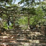 南山城跡（なんざんじょうせき）