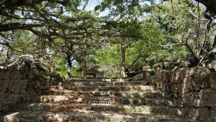 南山城跡（なんざんじょうせき）