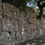 南山城跡（なんざんじょうせき）