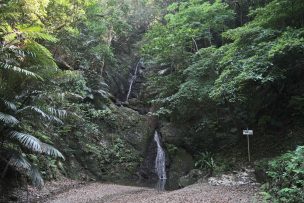 喜如嘉の七滝(きじょかのななたき)