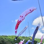 羽地ダムのこいのぼり