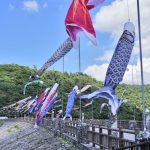 羽地ダムのこいのぼり