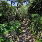 沖縄県平和創造の森公園