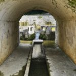 具志堅 大川(フプガー)