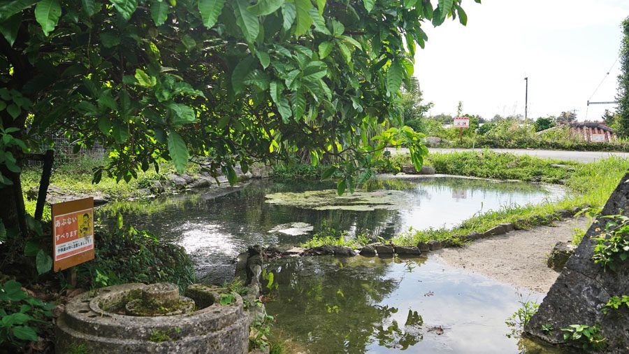 具志堅 大川(フプガー)池