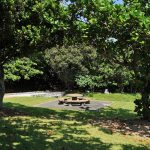 沖縄県平和創造の森公園
