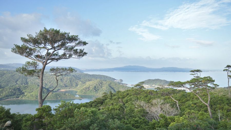 六田原展望台(むたばるてんぼうだい)