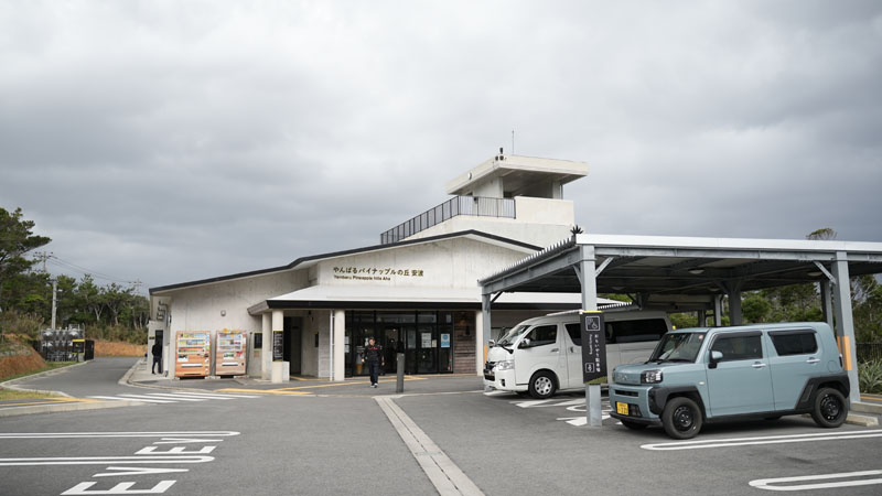 道の駅 やんばるパイナップルの丘 安波