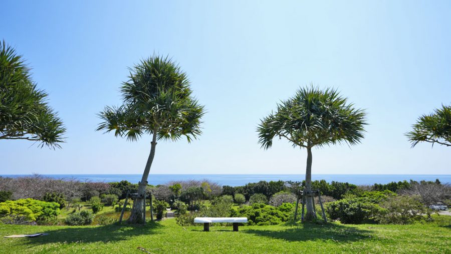 沖縄県平和創造の森公園
